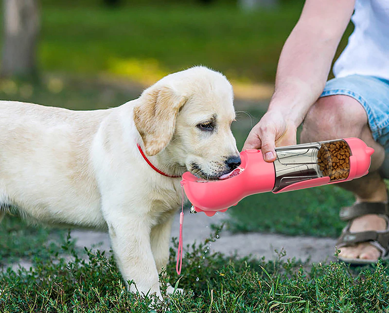 Comedouro e bebedouro multifuncional para Pets